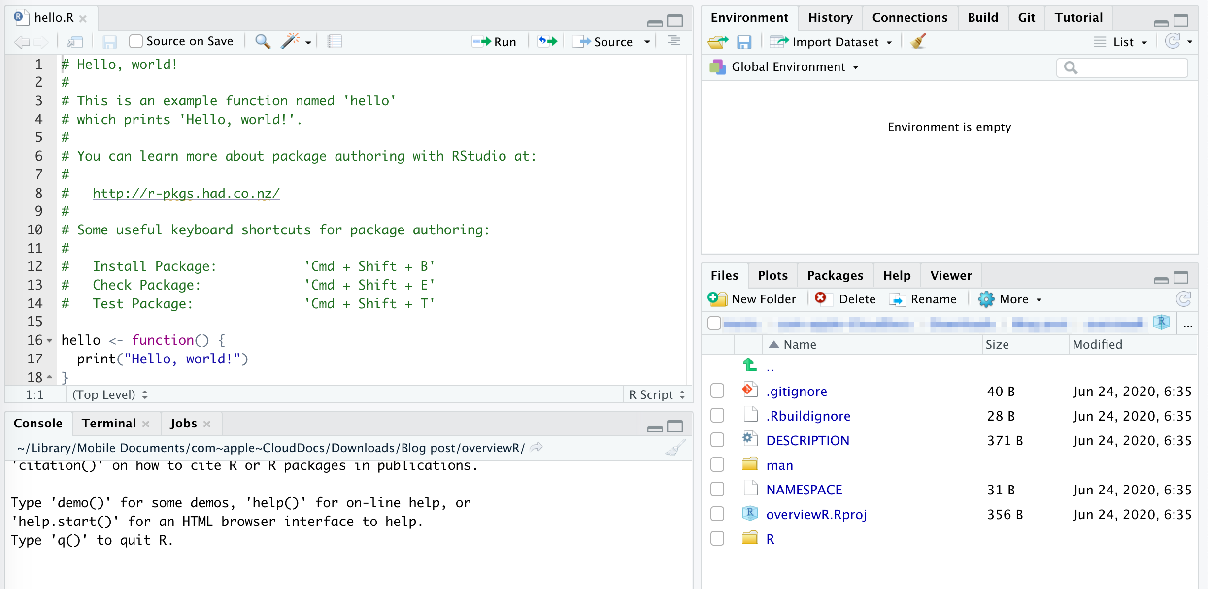 Setupt of a package structure showing the RStudio interface