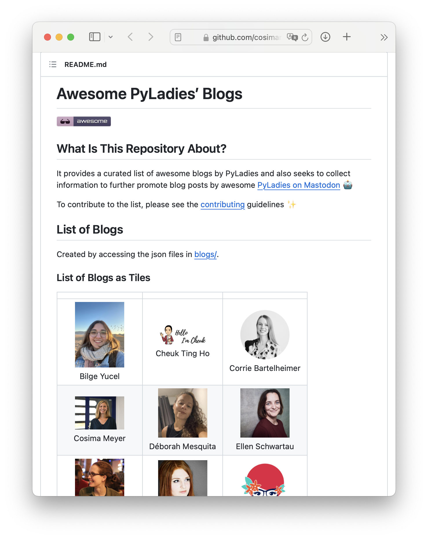 Screenshot showing the Awesome PyLadies' Repository